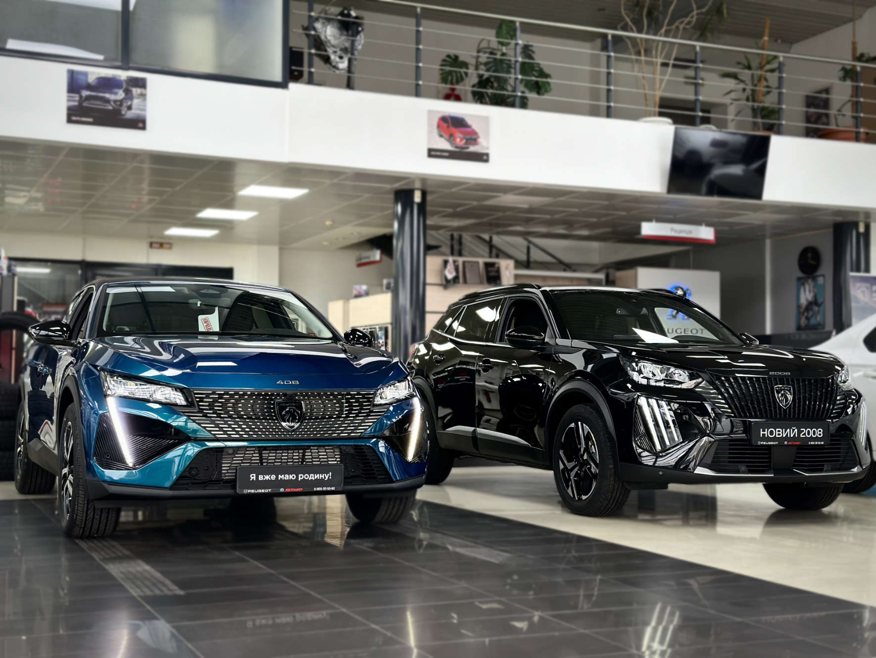 Виставкова зала автосалону Peugeot «Автосвіт Миколаїв» у Миколаєві